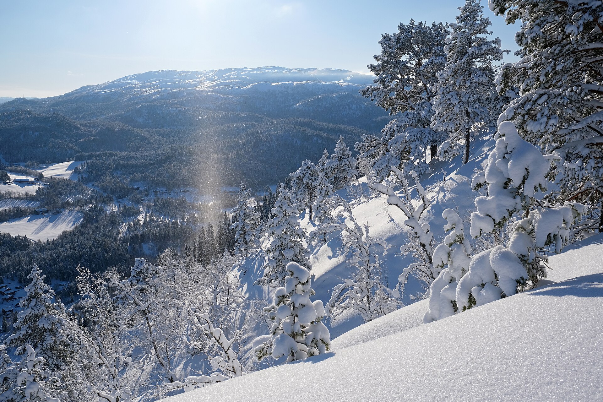 雪山と朝日、木々の間にきらめく氷点下の大気